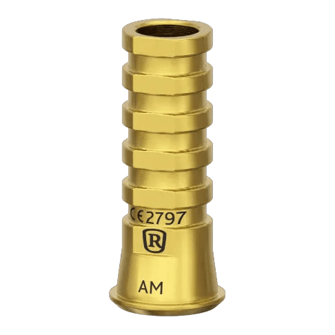 AM