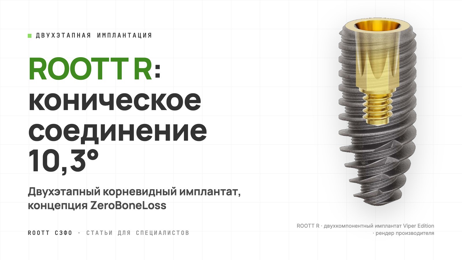 Обложка статьи: двухкомпонентный имплантат ROOTT R, рендер производителя
